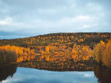 Syksyn sykähdyttävät unelmakohteet: 25 upeaa mökki... image