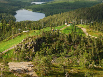 Holiday Resort Cabins