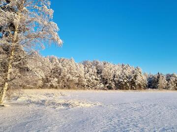 Mökit järven rannalla