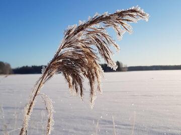 Erämökit ja laavut