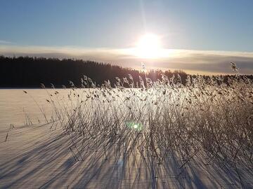 Nettimaksulliset mökit
