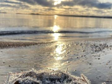 Parhaimmat arvostelut