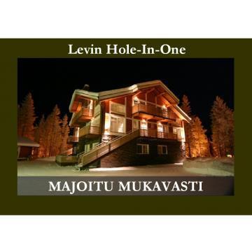 levin-hole-in-one-asunto-d-50093-1