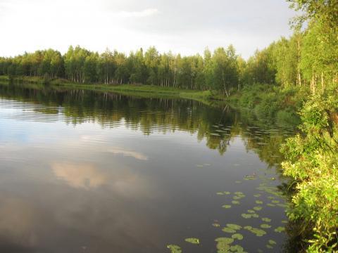 luonnonlapsi-50182-14