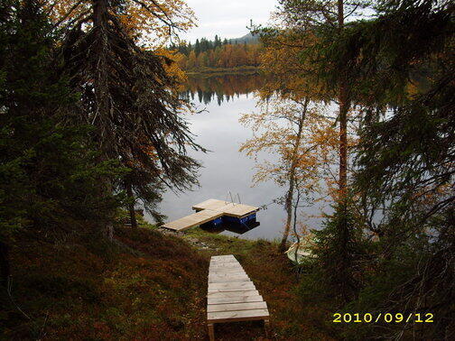 vuosselin-kataja-5-50231-12