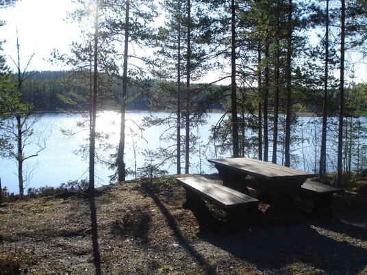 iso-auninen-50239-6