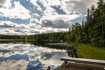 iso-auninen-50239-11