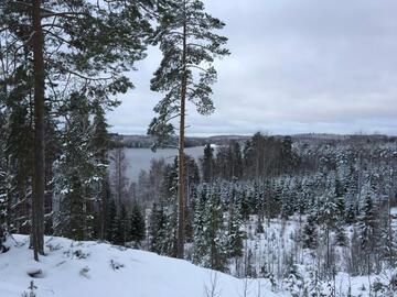 kotilammentie-91-c-50534-13