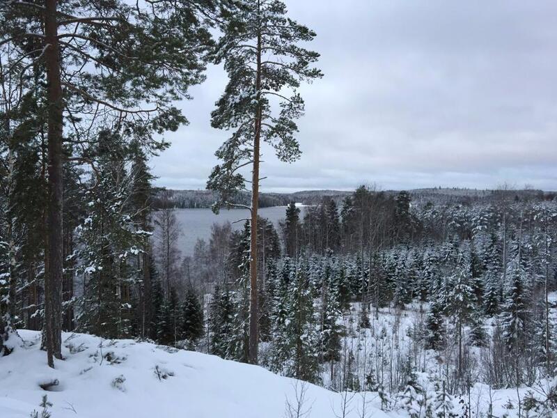 kotilammentie-91-c-50534-13
