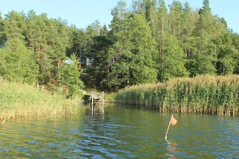 pekkala-50752-19