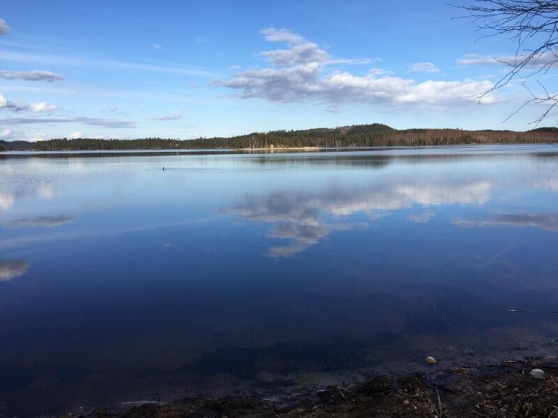 himmeenlahti-50759-1