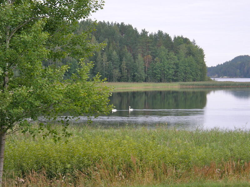 kartanon-renkitupa-50881-10