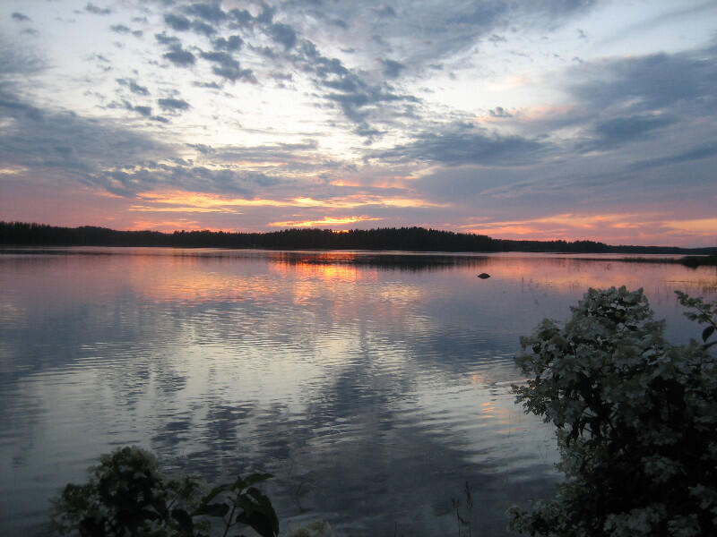 aurinko-51014-2