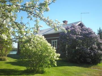 Sandvik