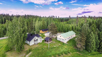 Paukkila
