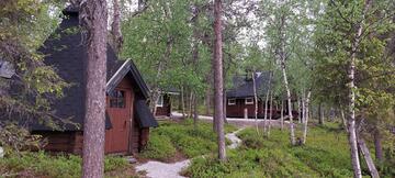 juhannusviikon-tarjous-300-e-51822-3
