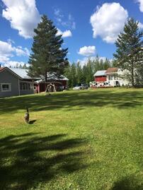 ahoniemi-51861-8