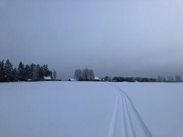 aurinkokumpu-51892-14
