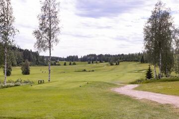 himoksen-taehti-a-52532-28