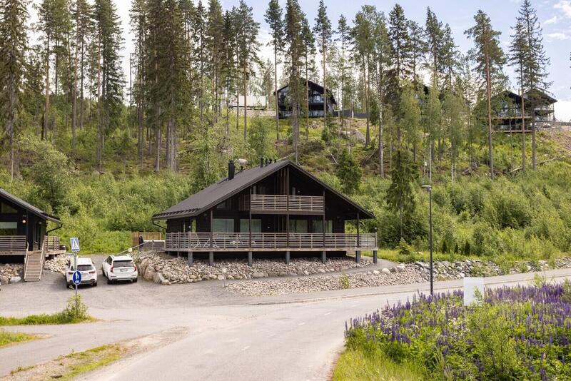 himoksen-taehti-a-52532-18