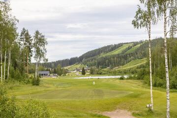 himoksen-taehti-a-52532-23