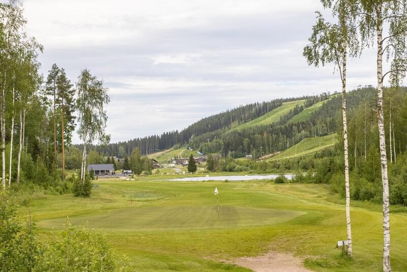 himoksen-taehti-a-52532-23