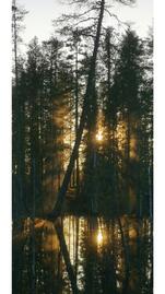 savottamiesten-eraemaa-kaempp-52536-13
