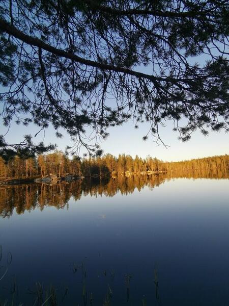 savottamiesten-eraemaa-kaempp-52536-12