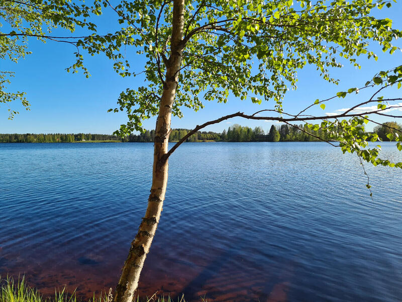 veljesranta-52546-18
