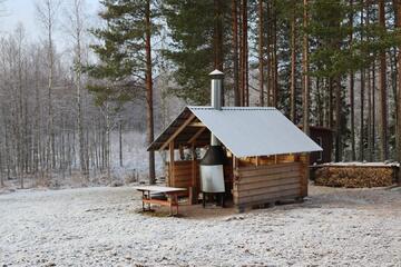 linnelaen-rauha-52816-16