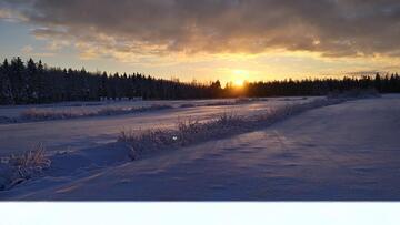 linnelaen-rauha-52816-19
