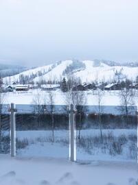 himoslokki-1-ja-2-52856-17