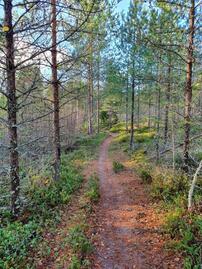 portinmajakka-53027-11