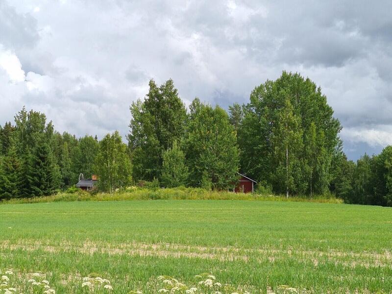 mustikkavuori-53145-21