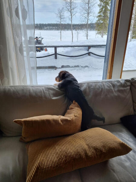 karhunkieppi-53229-6