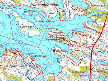ahvenniemi-posio-53725-11