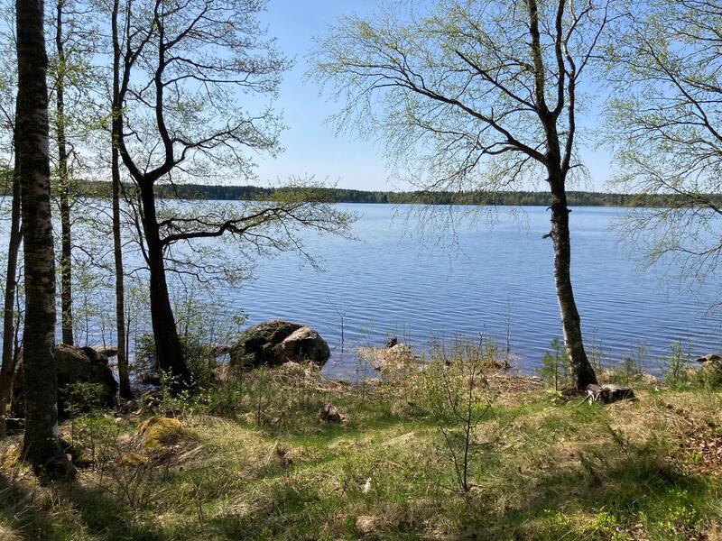moekki-rauhassa-jaervenrannalla-53853-4