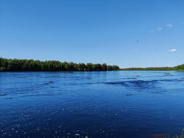 hirsinen-aapishovi-lomapaikka-53928-26