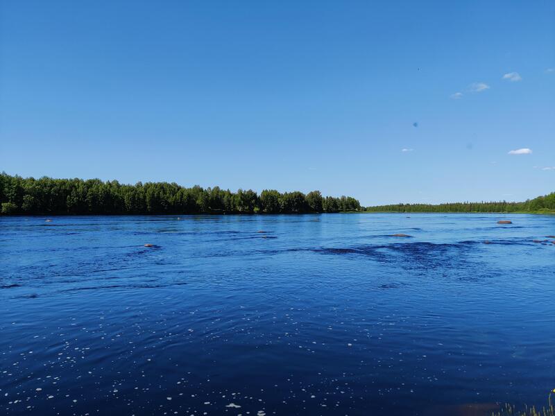 hirsinen-aapishovi-lomapaikka-53928-26