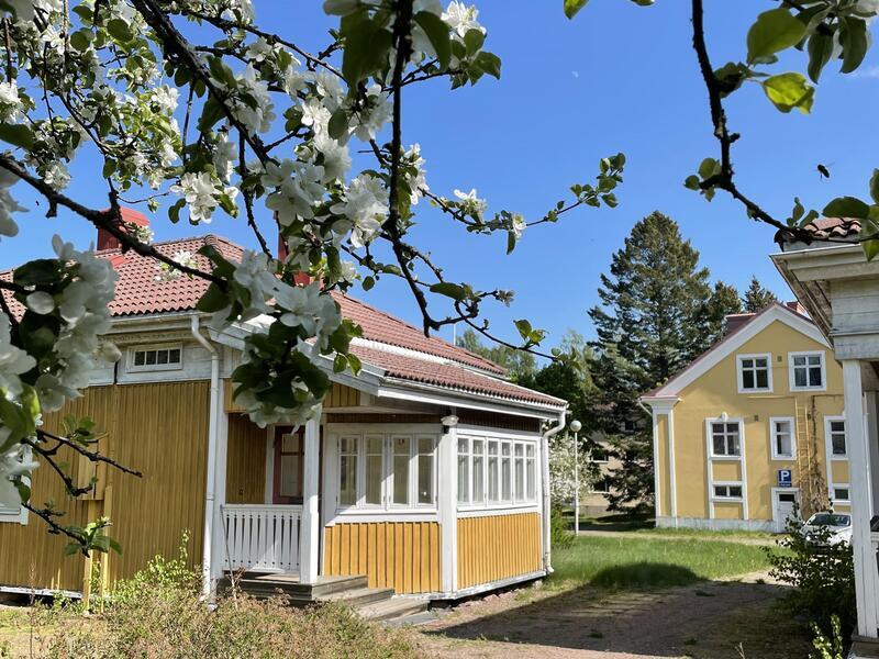 huvitus-pikku-pappila-54037-1