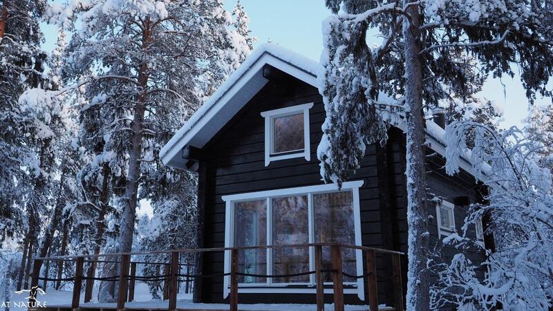 lapintintti-eco-cabin-55782-1