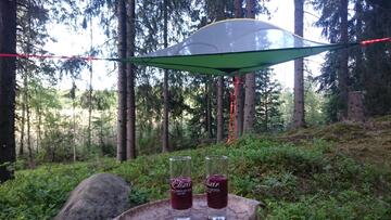 kommeen-kurjen-tentsile-puumajoitus-55871-13