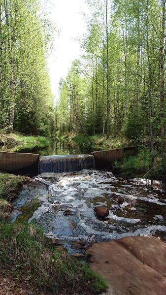 puronvarsimoekki-metsaemoekki-sauna-5-lle-55935-3