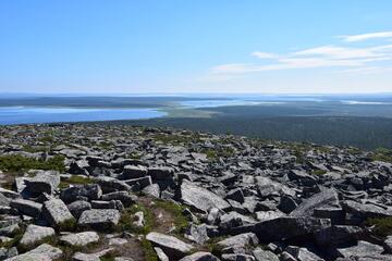 rovajaerven-eraekaemppae-inari-55953-5