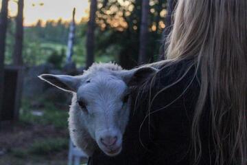 Mie en tee mittää - täysihoitoloma
