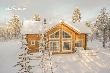 Hallahaukka