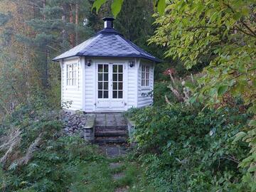 vuorenhelmi-56998-29
