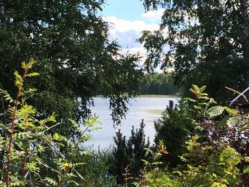 savusauna-sauna-jaerven-ranna-57048-13