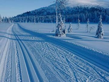 tunnelmallinen-hirsimoekki-yllaesjaervellae-57382-16