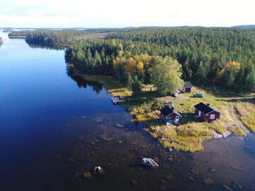 Kankiniemi inari